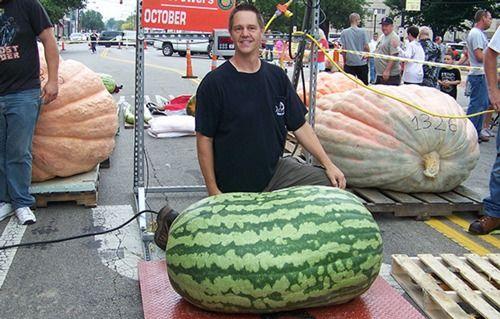 吃瓜吃到吐网图,揭秘网络热图背后的疯狂世界 第3张 吃瓜吃到吐网图,揭秘网络热图背后的疯狂世界 第3张