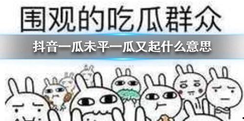 78抖音吃瓜网,揭秘78号热门事件背后的真相  第2张