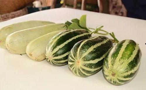 吃网红的大瓜,那些你不知道的大瓜内幕  第3张