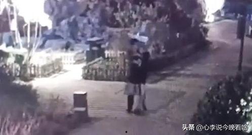 吃瓜原视频网,带你领略网络热点的背后真相  第2张