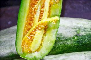 网红瓜在线吃,揭秘网络红人的幕后故事