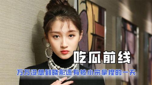 娱乐吃瓜酱低智商,揭秘低智商背后的娱乐真相  第2张