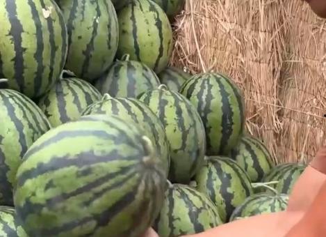 全娱乐吃瓜 第2张 全娱乐吃瓜 第2张