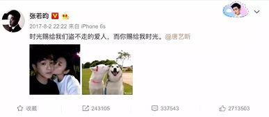 娱乐吃瓜酱有些遗憾,遗憾满载的甜蜜回忆 第2张 娱乐吃瓜酱有些遗憾,遗憾满载的甜蜜回忆 第2张