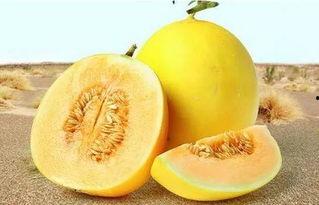 吃瓜网166.SU免费,166.SU免费福利来袭!吃瓜网带你探索全新美食世界 第3张 吃瓜网166.SU免费,166.SU免费福利来袭!吃瓜网带你探索全新美食世界 第3张