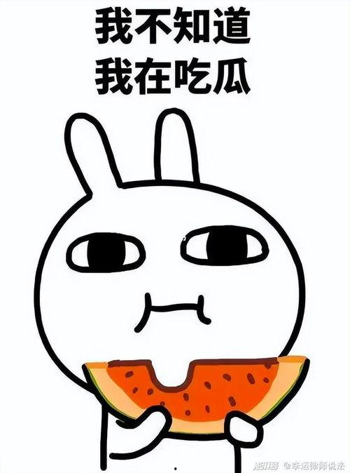 813吃瓜网盘,热门资源一网打尽，轻松畅享网络盛宴  第2张