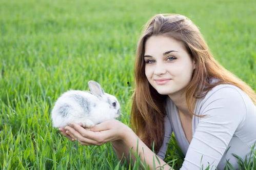 吃瓜网兔子牙,兔子牙背后的故事与魅力  第2张