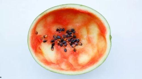 网红吃瓜勺子超大,超大吃瓜勺子引发全网热议! 第2张 网红吃瓜勺子超大,超大吃瓜勺子引发全网热议! 第2张