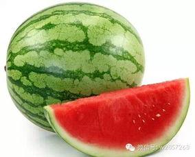 顶呱呱吃瓜网,顶呱呱吃瓜网带你领略明星幕后故事